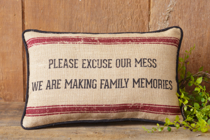 Pillow - Please Excuse Our Mess