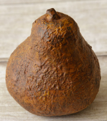 Pear - Primitive