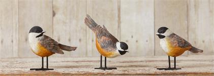 Birds - Yellow Breasted Robins