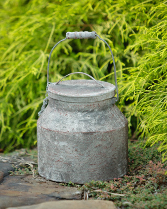 Milk Bucket - Rusty Wood Handle Lid